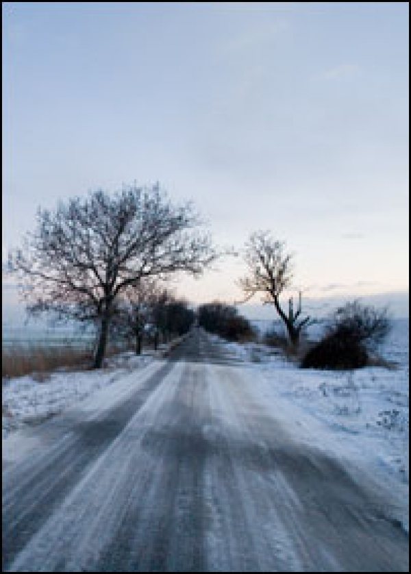 winter songs