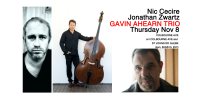 Gavin Ahearn trio