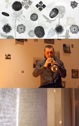 Inflorescence - Reuben Lewis